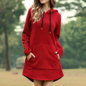 AMI | Long Warm Hoodie Dress