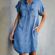 Chic Denim Dress | Paige