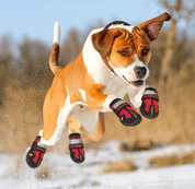 HenriPaws | Anti-Slip Dogs Boot