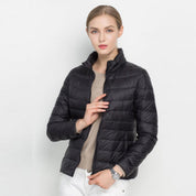 https://cdn.shopify.com/s/files/1/0822/2661/0521/files/product-image-394057654_b3856902-8377-44d4-a7f5-83718abb27f4.jpg?v=1740476354